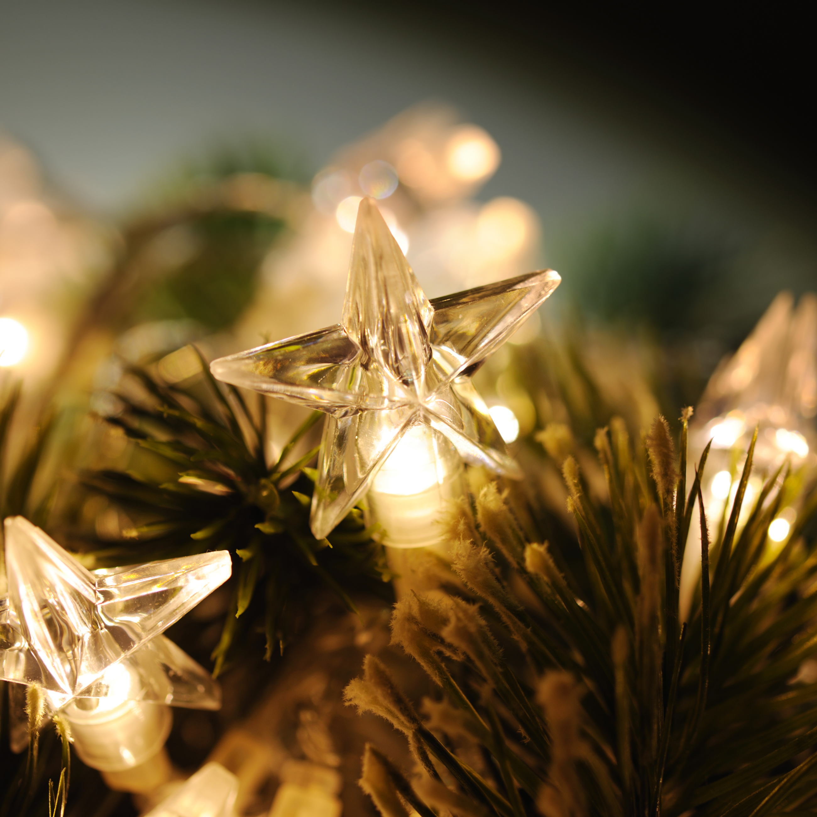 Christmas Guide Website Pic (8)